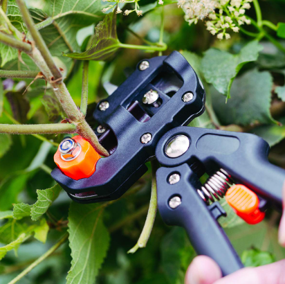 Tijeras de jardineria